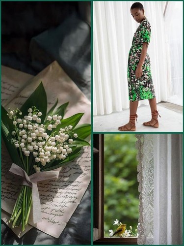 Women other stories - stories, dress